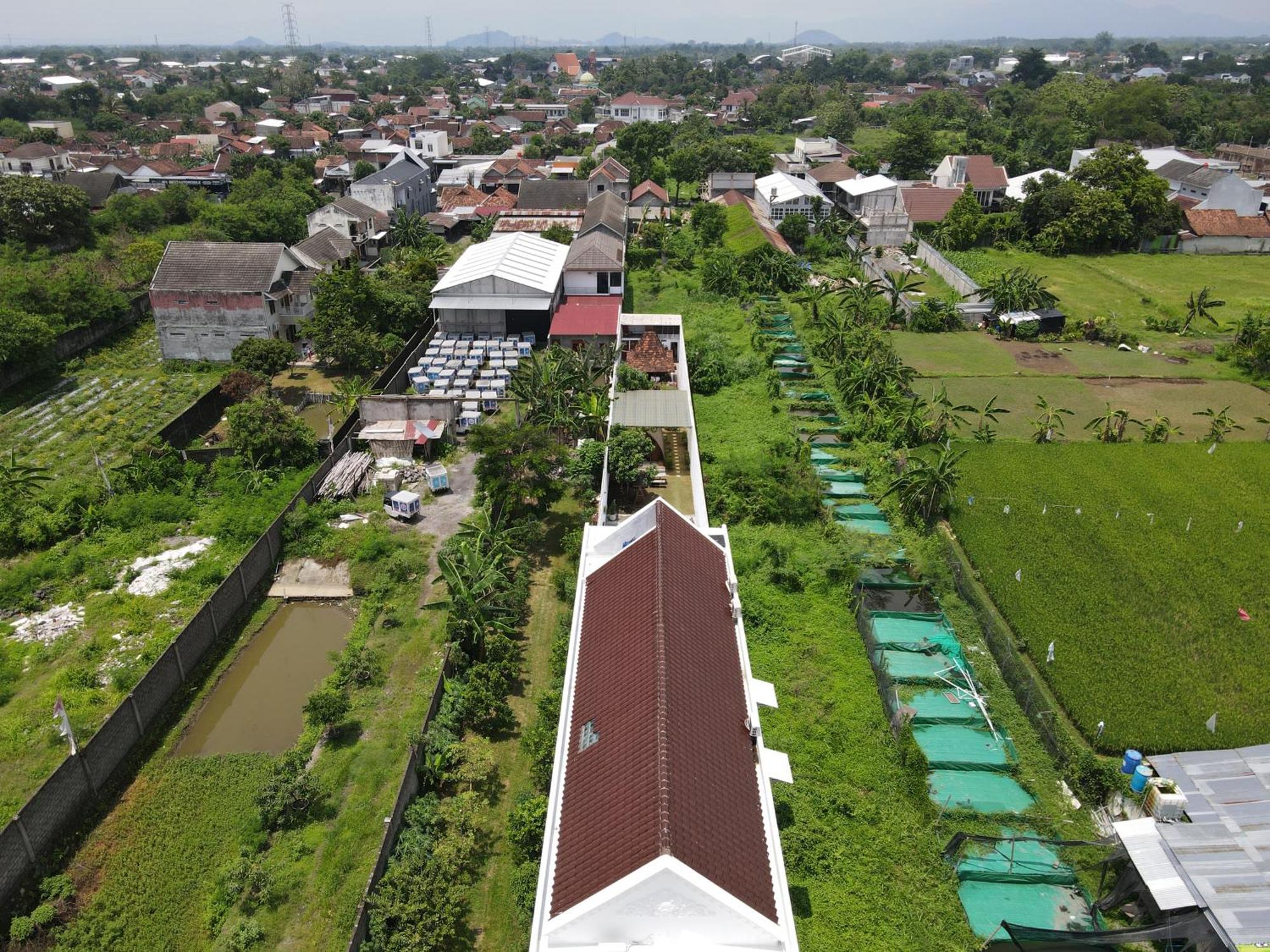 Villa Rumah Putih Jogja Jogjakarta Buitenkant foto